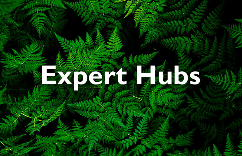 Expert Hubs 2021: managed services