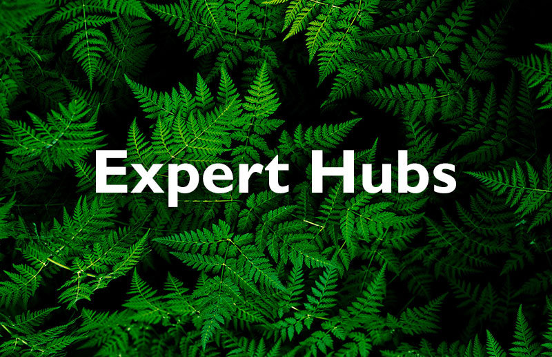 Expert Hubs: Energy